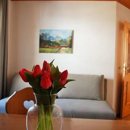 Lägenhet Filzmoos Appartements Filzmoos